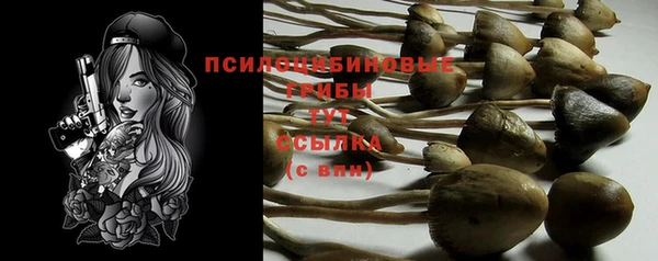 MESCALINE Кукмор