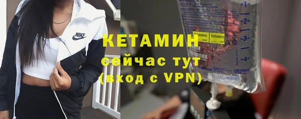 твердый Ладушкин
