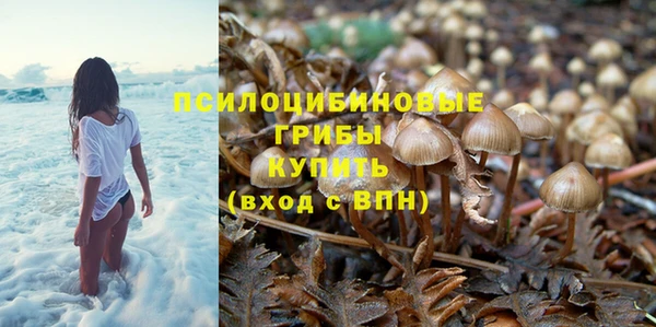 соль ск Куйбышев