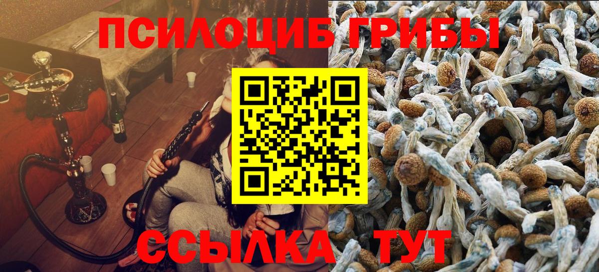 Галлюциногенные грибы MAGIC MUSHROOMS  Урай  Псилоцибиновые грибы Cubensis 